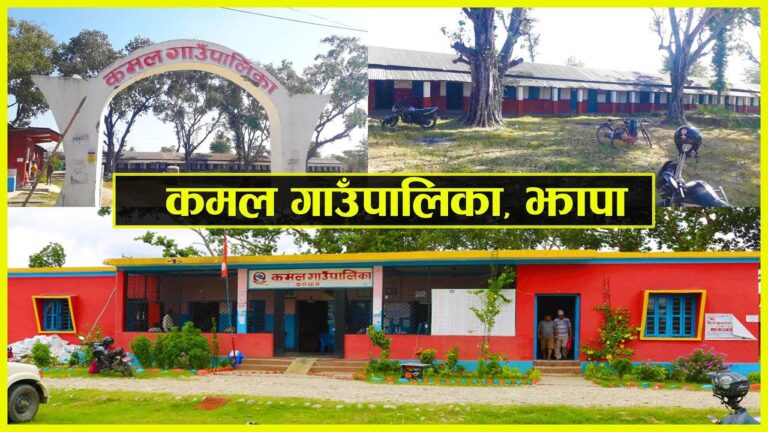 सन्थालको सोहराय पर्वमा विहिबार कमलमा स्थानीय विदा
