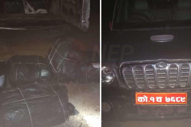 गाँजा बोकेको गाडी मध्यराति नियन्त्रणमा, चालक फरार