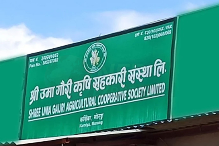उमा गौरी सहकारीका अध्यक्षसहित १० जनाविरुद्ध पक्राउ पुर्जी